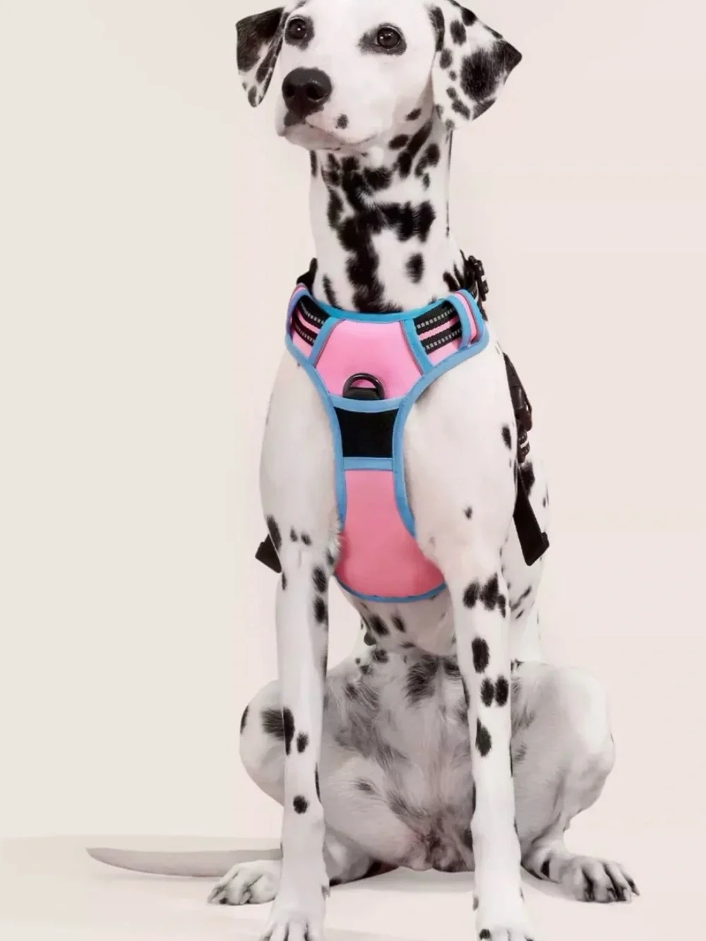 Rabbitgoo ColorPop Fit No Pull Dog Harness